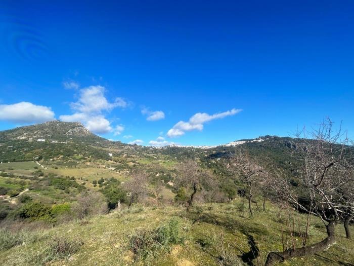 Plot in the old road to Gibraltar in Gaucín.