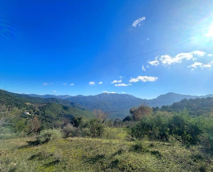 Plot in the old road to Gibraltar in Gaucín.