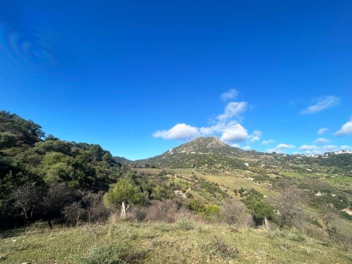 Plot in the old road to Gibraltar in Gaucín.