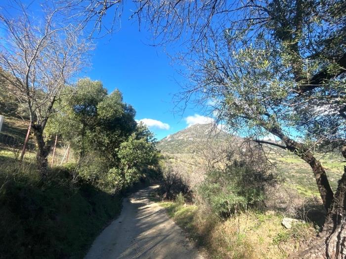 Plot in the old road to Gibraltar in Gaucín.