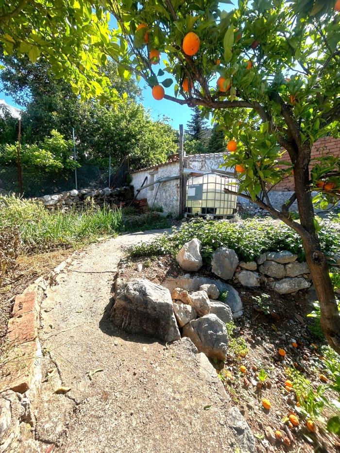 Property with a garden and the possibility of a large garage.