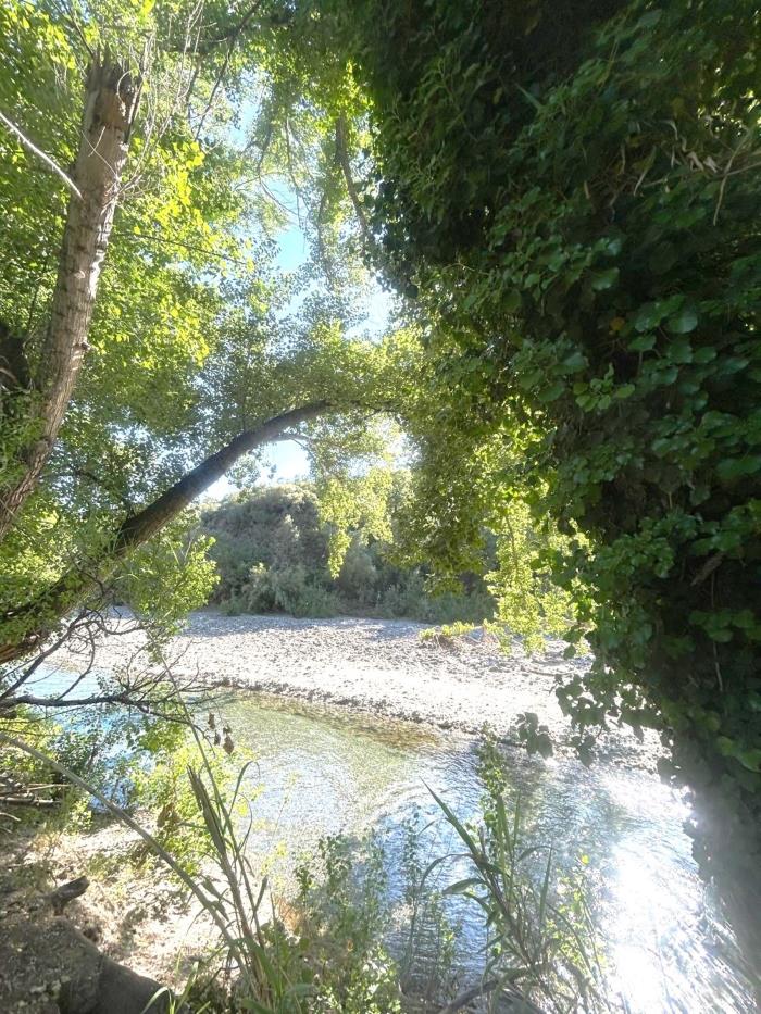 Parcela en el Rio de Benarrabá.